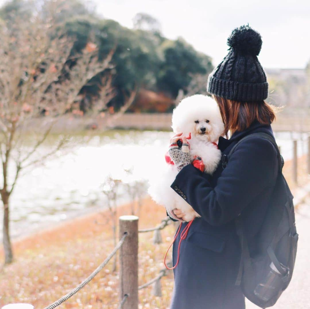 ゆうのインスタグラム：「. たくさん歩いて お疲れなアーニーさん🐶 . 自分で編んだ手袋を🧶🧤 使ってみました。 なかなか暖かくてよい。 . . #おててのマッサージ #モミモミ中 . . .」