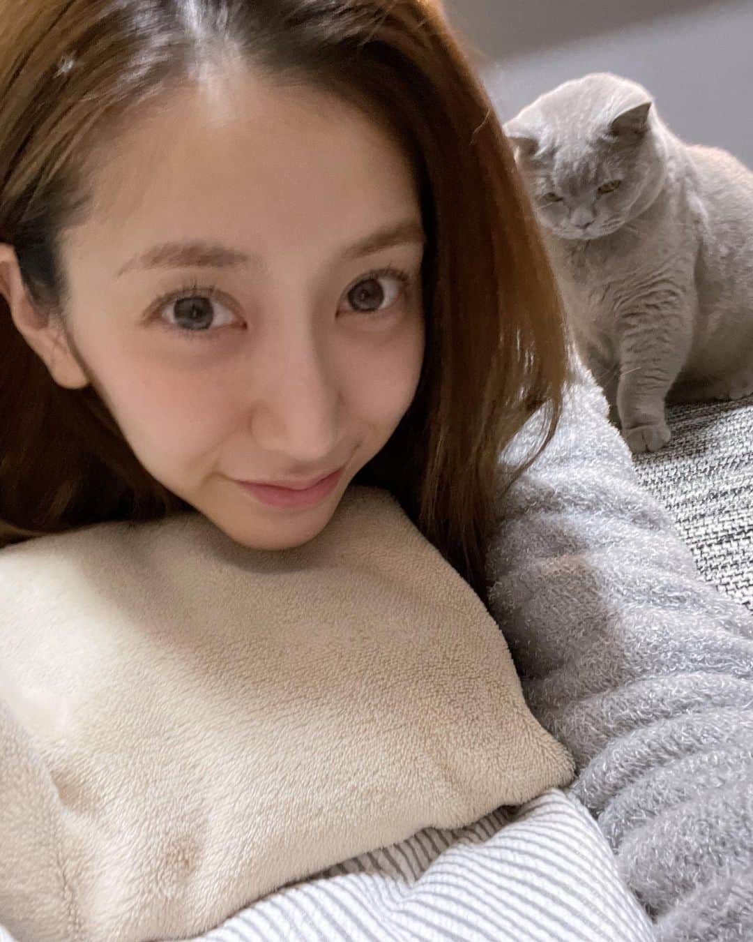のインスタグラム：「. 夜な夜な後ろな彼と 喧嘩です😫 #猫あるある」