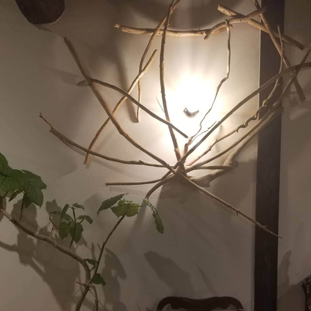 谷口キヨコのグルメインスタ