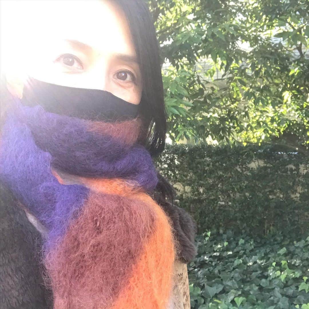 井脇幸江のインスタグラム