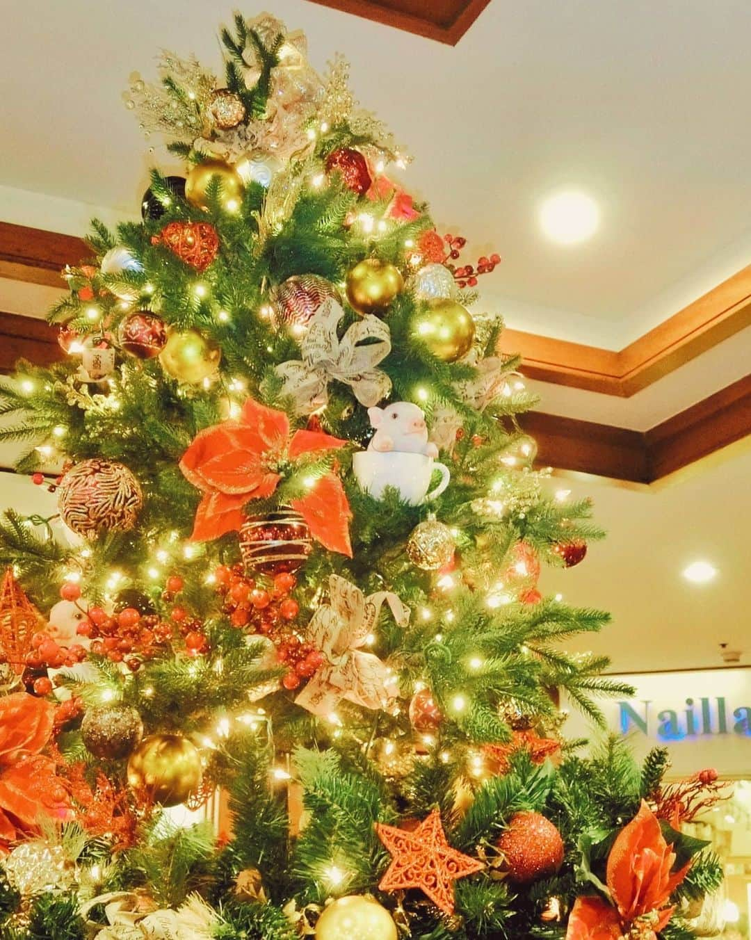 天霧真世さんのインスタグラム写真 - (天霧真世Instagram)「· 妄想ハワイ🎄🌴🌺 · · 🔍1450 Ala Moana Blvd, Honolulu, HI 96814 アラモアナ🎄 🔍2365 Kalakaua Ave, Honolulu, HI 96815  モアナサーフライダー🎄 🔍2201 Kalakaua Ave, Honolulu, HI 96815 ロイヤルハワイアン🎄 · · #laterpost #hawaii#oahu#waikiki #palmtrees #christmastree #🌴 #🎄 · 🌈@mayomayo.com_ 💎@mayosacise.official ✏@mayo_paint · ·」12月23日 22時00分 - mayomayo.com_