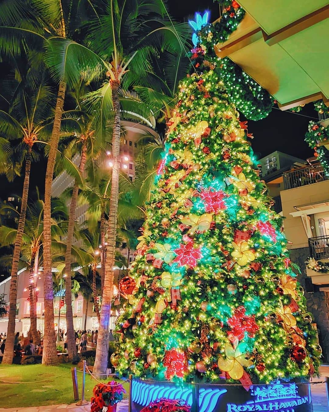 天霧真世さんのインスタグラム写真 - (天霧真世Instagram)「· 妄想ハワイ🎄🌴🌺 · · 🔍1450 Ala Moana Blvd, Honolulu, HI 96814 アラモアナ🎄 🔍2365 Kalakaua Ave, Honolulu, HI 96815  モアナサーフライダー🎄 🔍2201 Kalakaua Ave, Honolulu, HI 96815 ロイヤルハワイアン🎄 · · #laterpost #hawaii#oahu#waikiki #palmtrees #christmastree #🌴 #🎄 · 🌈@mayomayo.com_ 💎@mayosacise.official ✏@mayo_paint · ·」12月23日 22時00分 - mayomayo.com_