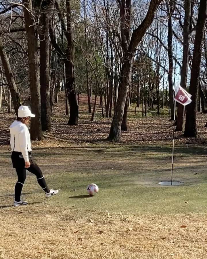 あおい夏海のグルメインスタ