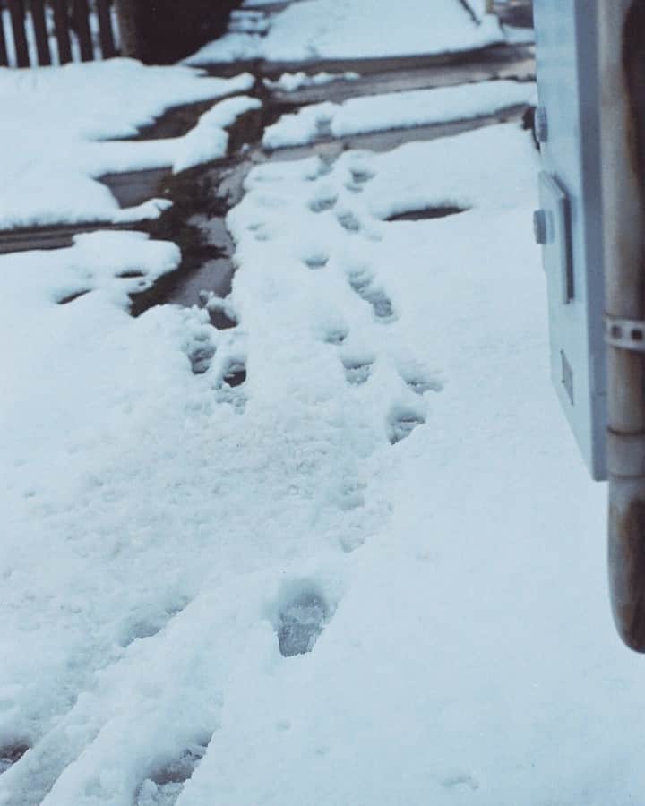 のインスタグラム：「雪の道程」