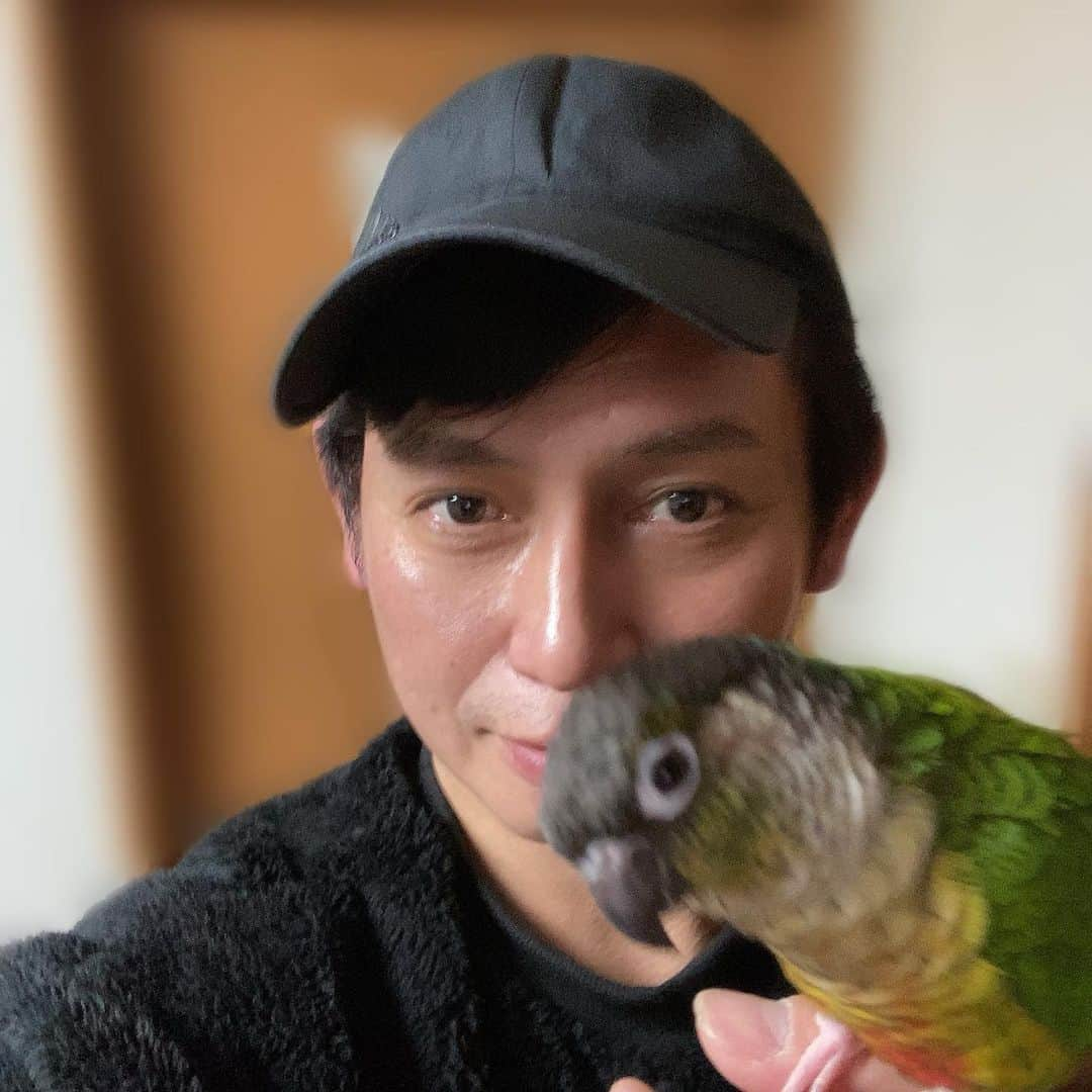 ごあきうえさんのインスタグラム写真 - (ごあきうえInstagram)「#ウロコインコ の京ちゃんです。 友達が所用で今夜帰宅出来ないと言うことで、 お世話をしに来ました😊 なんと初対面なのにフレンドリーです。  僕は生まれてこの方、人以外には一度も嫌われた記憶がない✌️  一緒に風呂上がり👌  #インコ　#🦜 #GreenCheekedParakeet #비늘잉꼬　#Parakeet #잉꼬」12月23日 22時26分 - goakiue