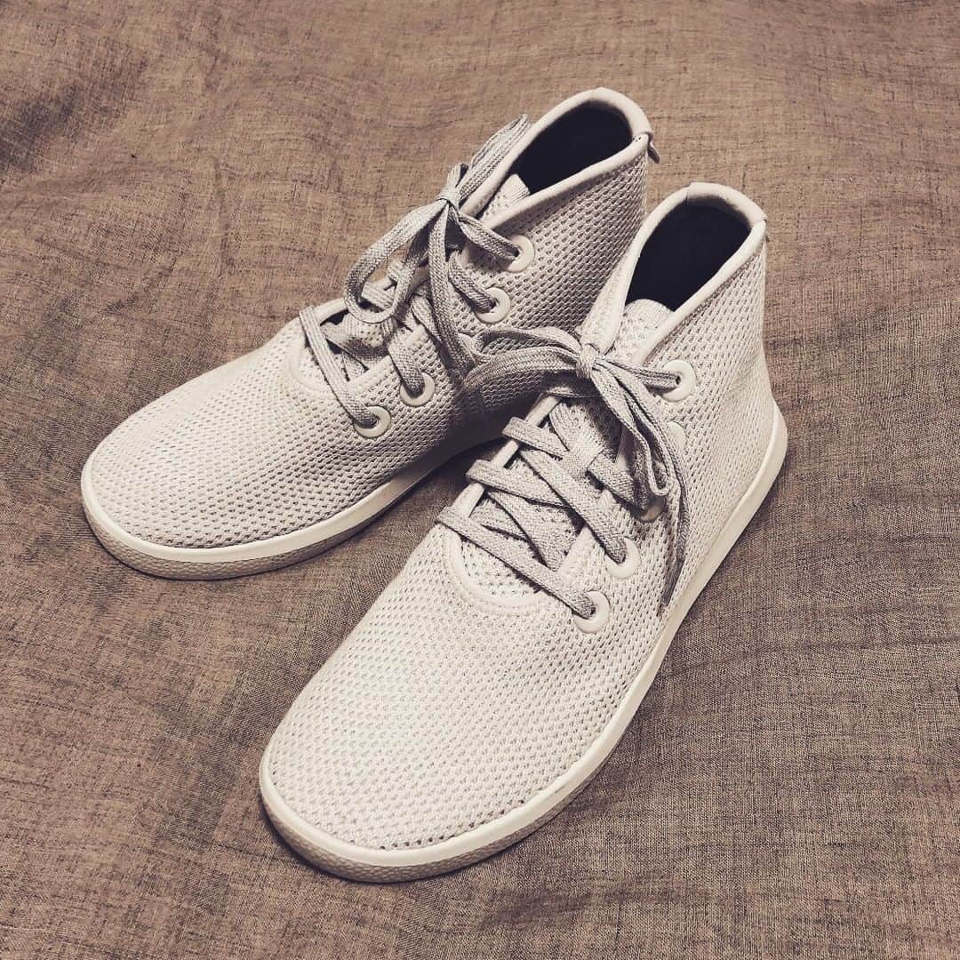西山由のインスタグラム：「" Tree Toppers " par allbirds. Très léger !」