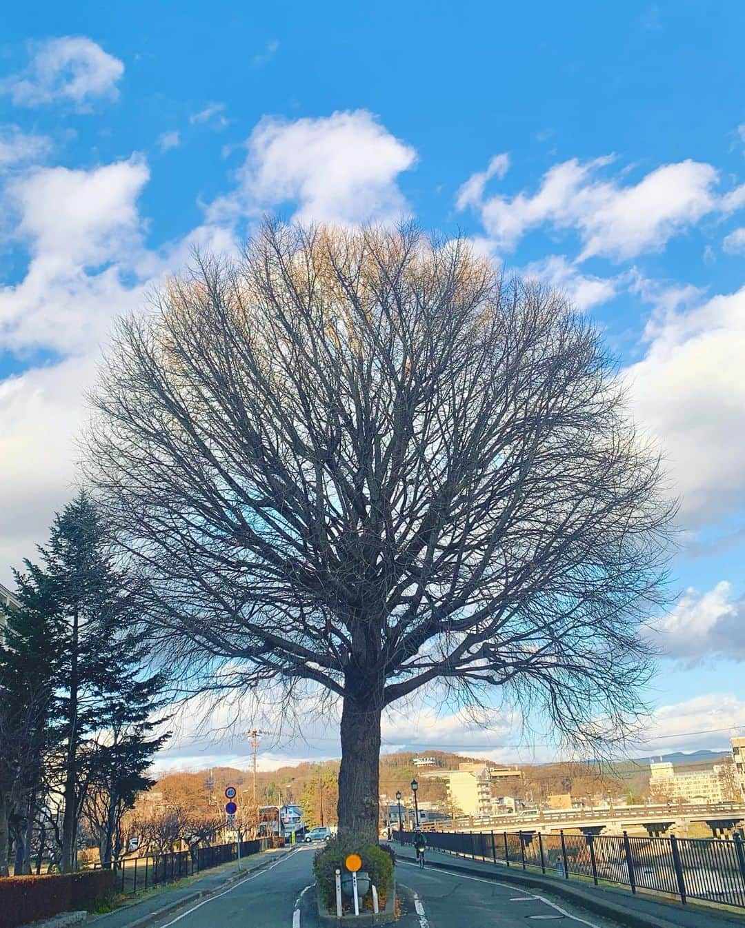 坂本美雨さんのインスタグラム写真 - (坂本美雨Instagram)「盛岡の透き通る光。 鮭の帰る川。遠くの山々。 朝も昼も夕方も夜も、いつでも美しい。  #なまこムービー #ムーランがいるな #今日のなまこちゃん」12月23日 22時54分 - miu_sakamoto