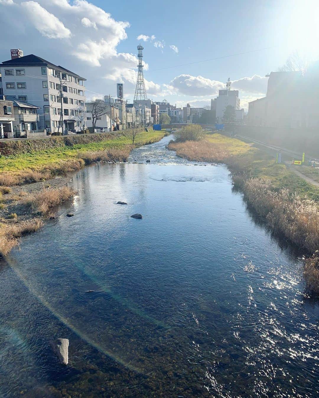 坂本美雨さんのインスタグラム写真 - (坂本美雨Instagram)「盛岡の透き通る光。 鮭の帰る川。遠くの山々。 朝も昼も夕方も夜も、いつでも美しい。  #なまこムービー #ムーランがいるな #今日のなまこちゃん」12月23日 22時54分 - miu_sakamoto