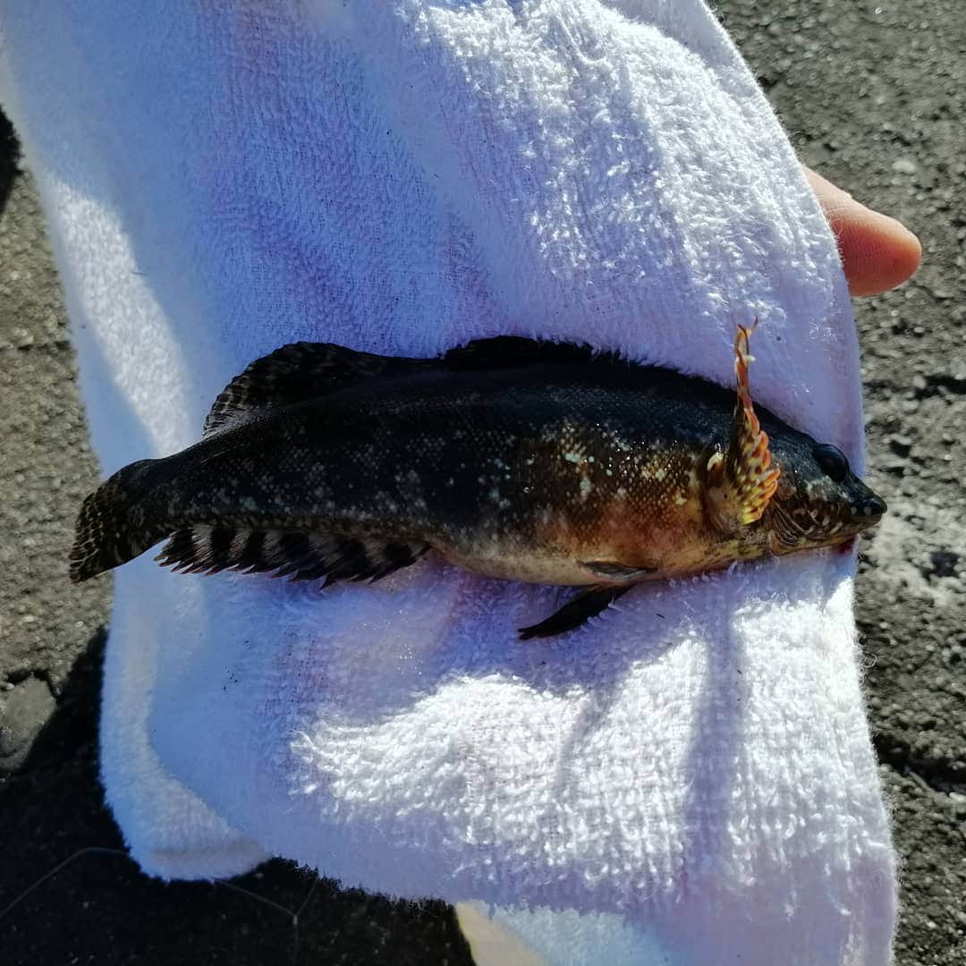 翠千賀のインスタグラム