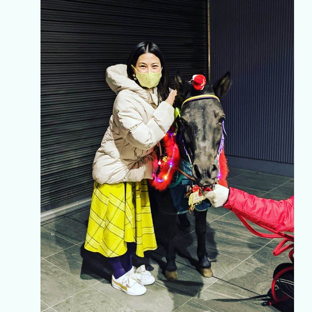 七瀬遥のインスタグラム：「ポニーちゃん🐴💕　 大人しくてお利口さん💛可愛い🥰 癒してくれて、ありがとう☺️☺️☺️  #癒し#可愛い#動物#ポニー#cute#friend#family#good#happy#fun#happiness#good#smile#tokyo#japan」