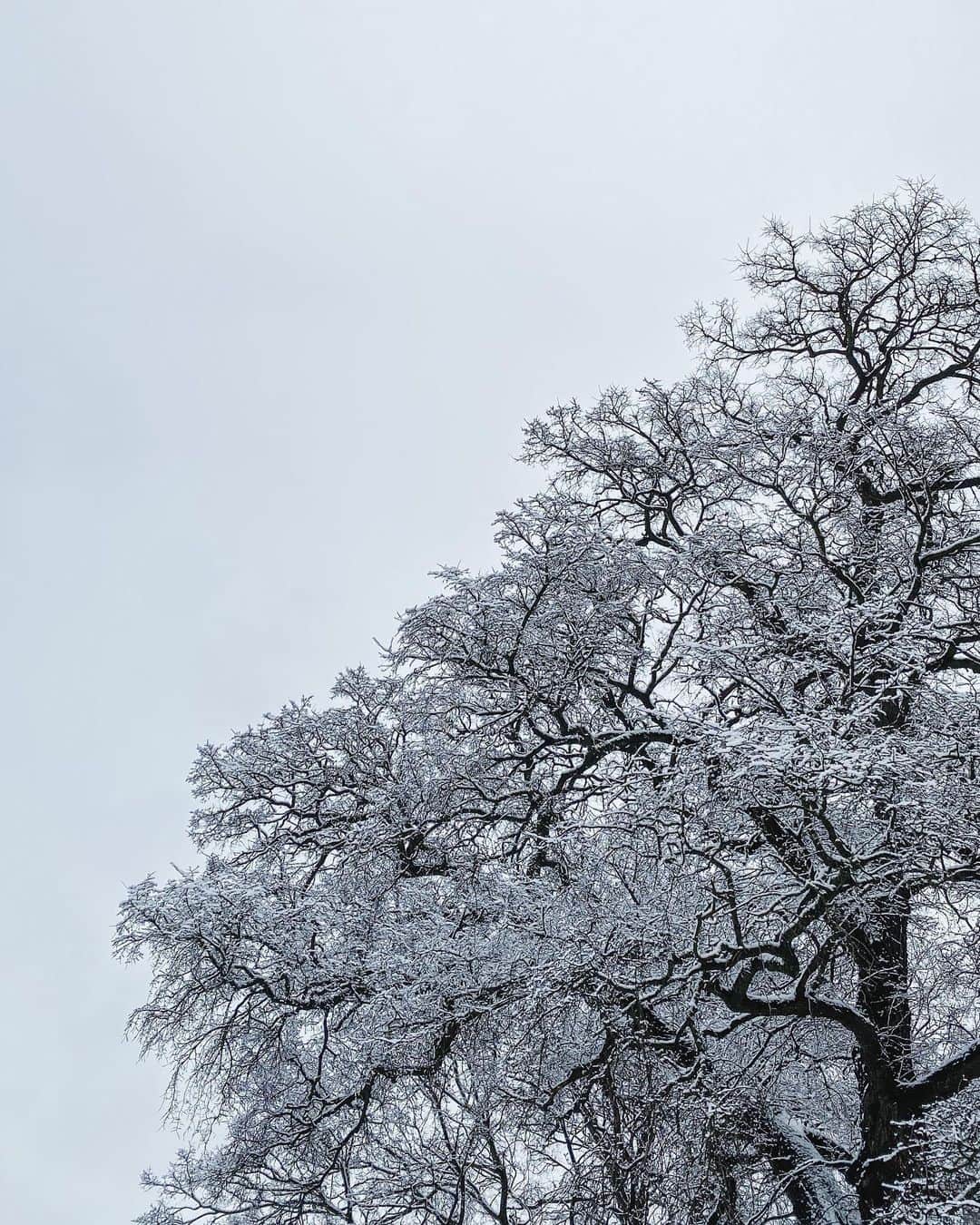 MARIEのインスタグラム：「エストニア最終日は雪模様❄️﻿ ﻿ 行ってらっしゃいって﻿ 言ってくれてるみたいだな⛄️﻿ ﻿ 最後に素晴らしい景色が見れて胸がいっぱい🧡」