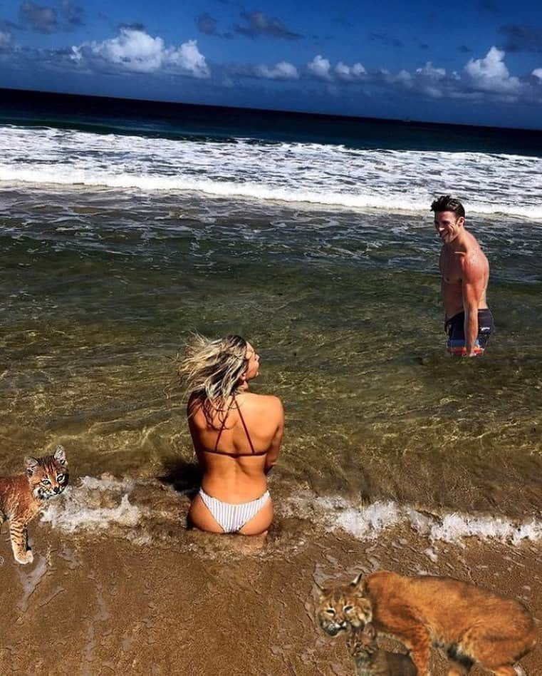 シエラ・ブレア・コイルのインスタグラム：「What I’m actually doing this Christmas break 😉 Big thanks to @gapulido for coming up with this incredible photo shop. Thanks for honoring my crush on @scotteastwood and my love for bobcats ❤️」