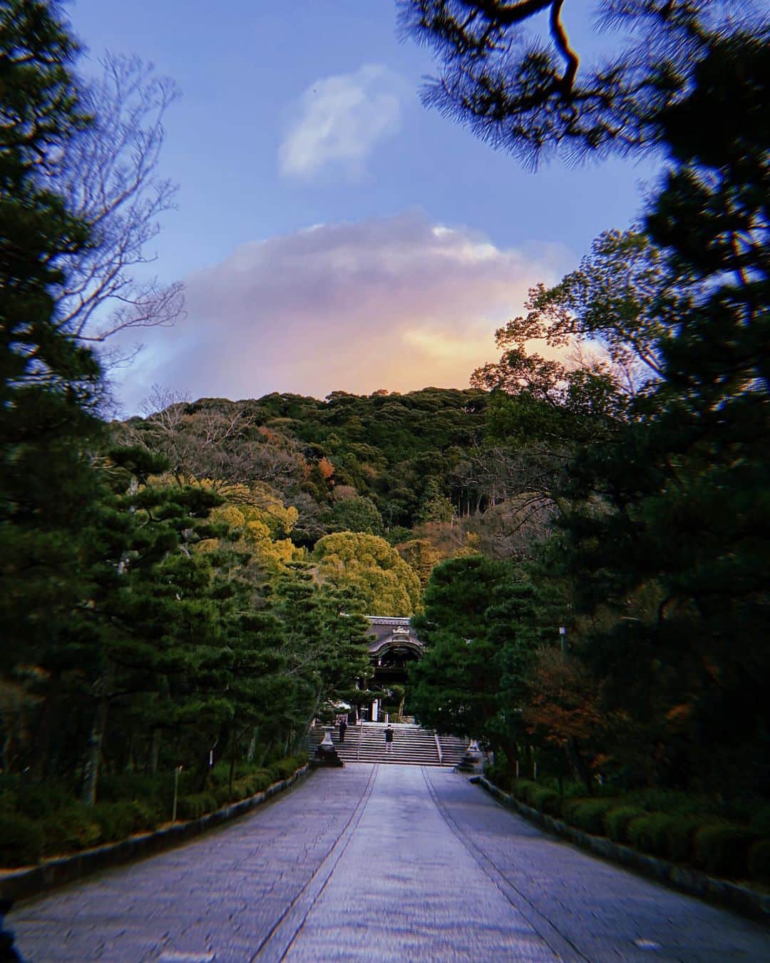 Juli＠のインスタグラム：「向こう側がなんか 、 、 、 #photography #photo #japan #kyoto #temple  #japanesetemple #afternoon」