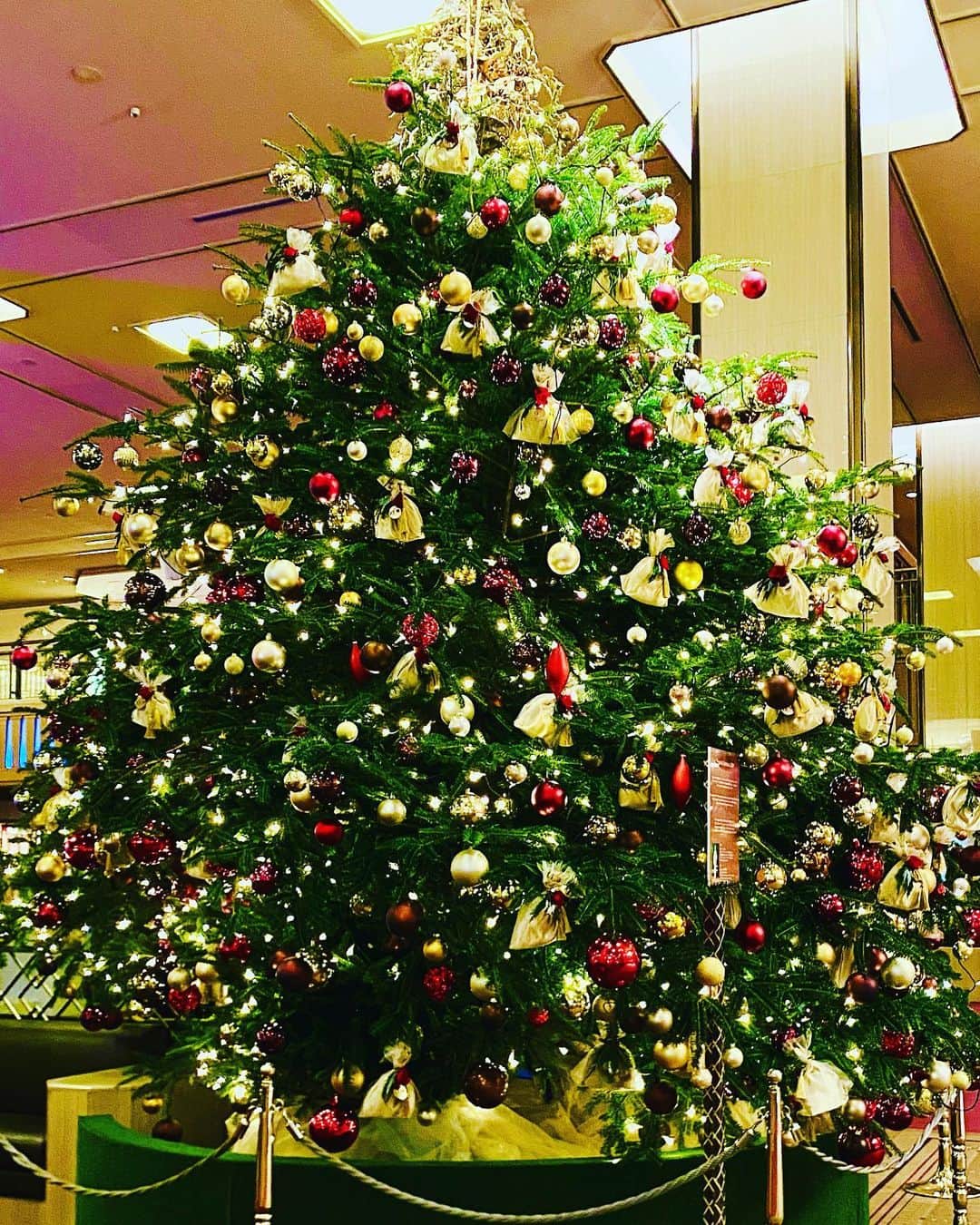 勝恵子さんのインスタグラム写真 - (勝恵子Instagram)「imperial hotelのクリスマスツリーはずっしりと大きく。 あ、イブイブでしたねー。 午前中は有意義な打ち合わせが 出来ました。今年が、もう終わる！  #christmas  #chrismastree  #imperial hotel  #meeting  #merrychristmas」12月24日 0時29分 - keiko.katsu