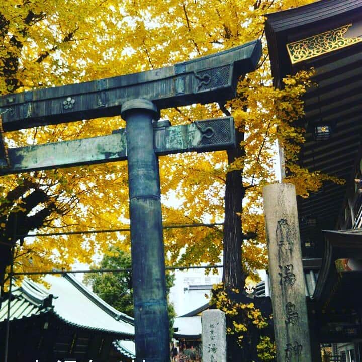 のインスタグラム：「#とある日のロケ  湯島天神へ幸先詣りの取材へ。 イチョウがとっても綺麗に染まっていて。  受験生の姿もちらほら。  名物のなで牛はさわれなっかたけど 多くの受験生の思いが届くことを願って  #紅葉のある風景」
