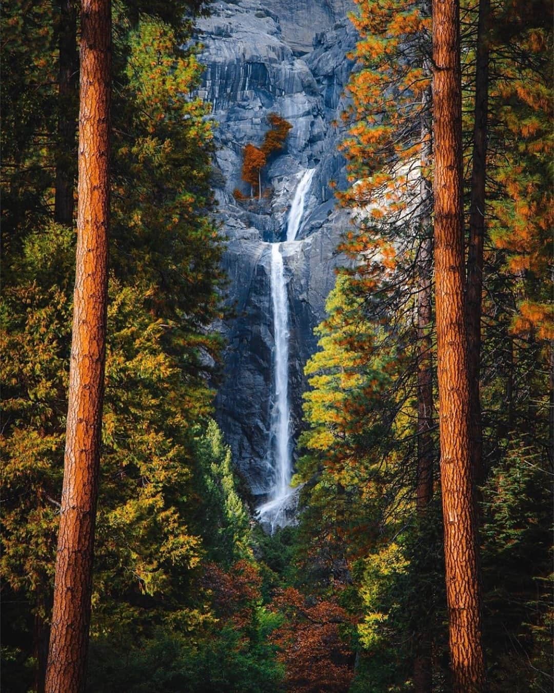 Earth Picsさんのインスタグラム写真 - (Earth PicsInstagram)「Lower Yosemite Falls 🌲🍂 by @jguzmannn」12月24日 1時00分 - earthpix