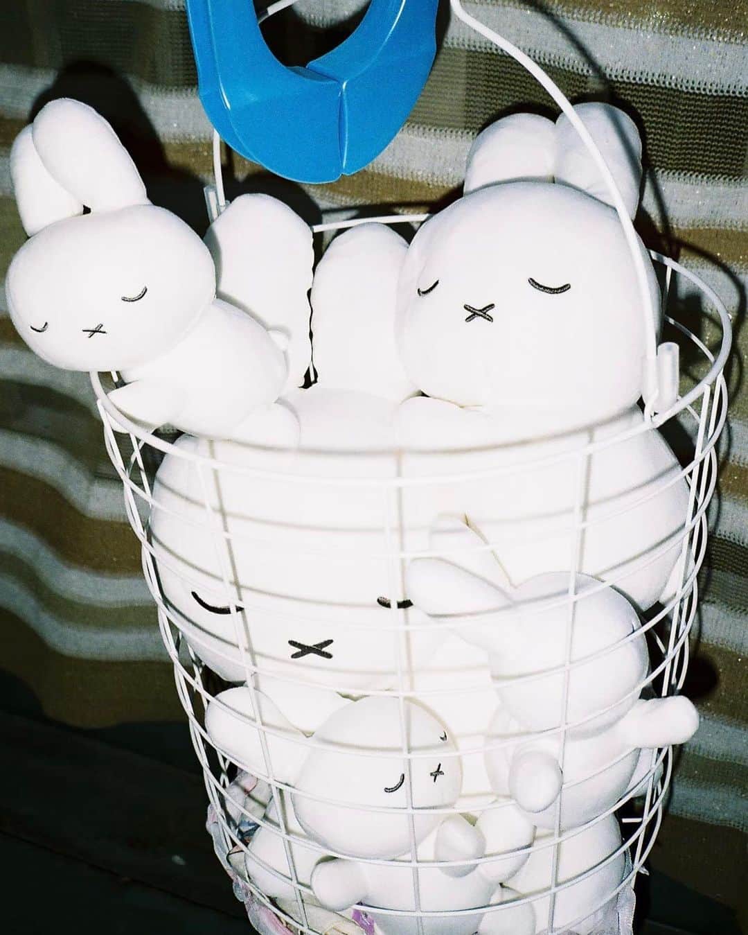 Cazumaxのインスタグラム：「うちの癒し🤣🤍 #miffy #nijntje #contaxt2」