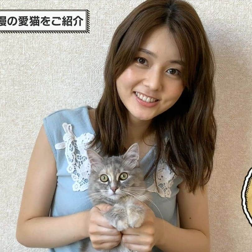 女子アナをこよなく愛する美人図鑑のインスタグラム：「さとりな💕と愛猫シャーロット🐱  #佐藤梨那 #佐藤アナ #さとりな #日本テレビ #日テレ #女子アナ #アナウンサー #キャスター #猫 #愛猫 #シャーロット #サイベリアン #かわいい #可愛い #可愛いすぎる #美人 #美女 #美しい #綺麗 #清楚 #愛嬌 #kawaii #love #cute #beautiful」