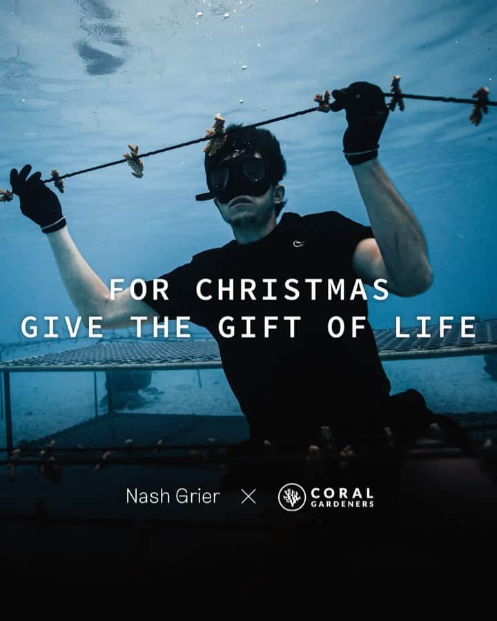 ナッシュ・グリアのインスタグラム：「OUR OCEANS ARE DYING, give the gift of life this christmas & adopt a “super coral” from @coralgardeners (link in bio) #NoReefNoOceanNoAir 🐠」