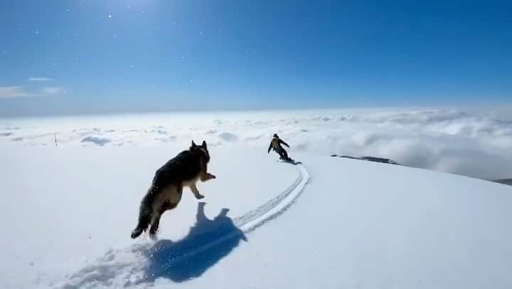 ショーン・ホワイトのインスタグラム：「Love this 🎥 @haythamhobeika @roudydoumit」