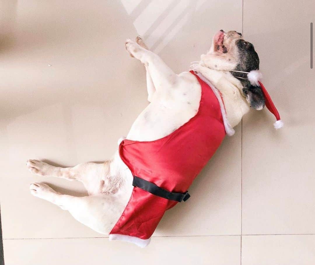 Gabriela Salesのインスタグラム：「Eu amanhã depois da ceia de Natal  👁👄👁」