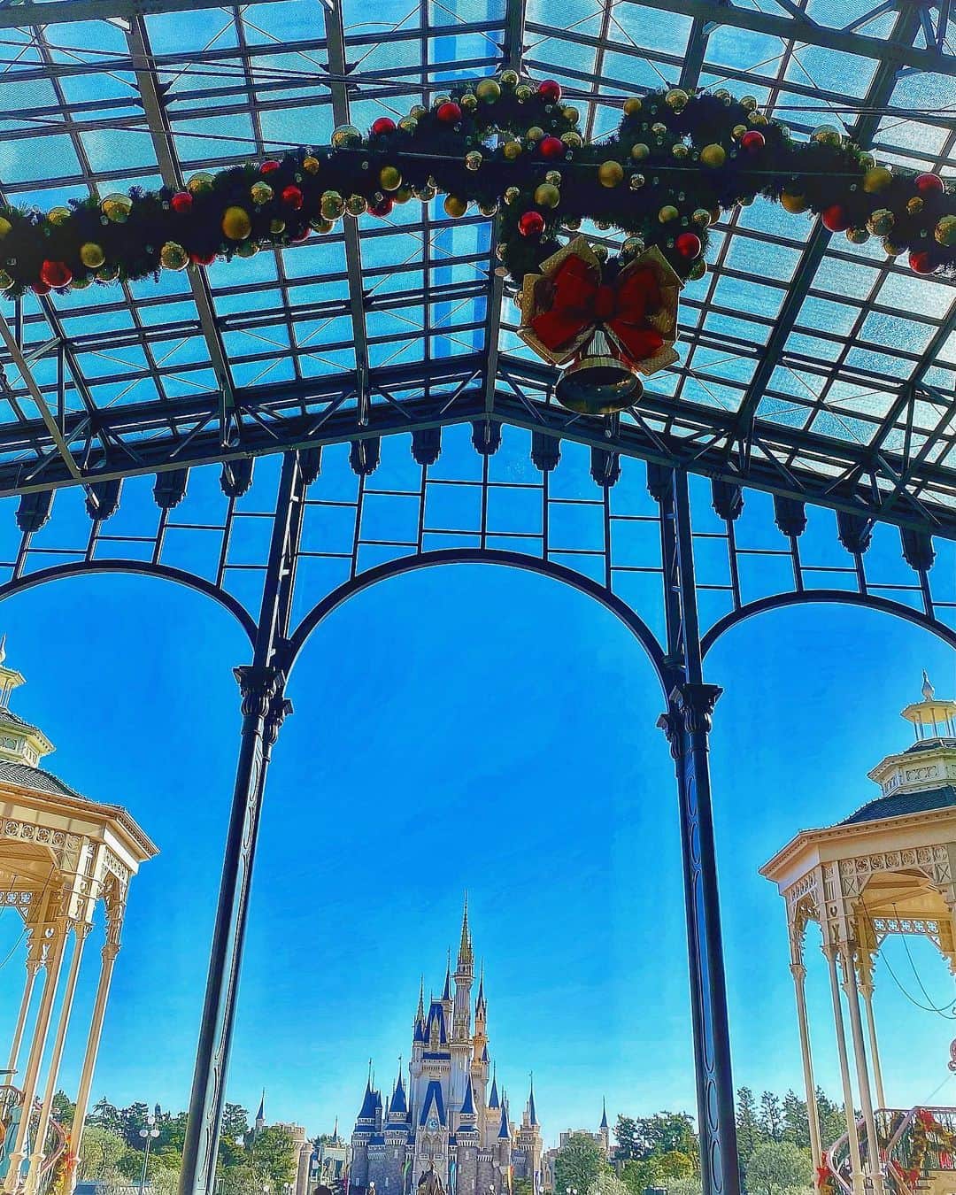 のインスタグラム：「☆ 𝐷𝑖𝑠𝑛𝑒𝑦🎄✴︎  #Disney#Disneyland#christmasdisney  #disneycastle#castle#tdl  #ディズニー#ディズニーランド#シンデレラ城 #クリスマスディズニー#東京ディズニーランド  #夢の国#🐭🏰」