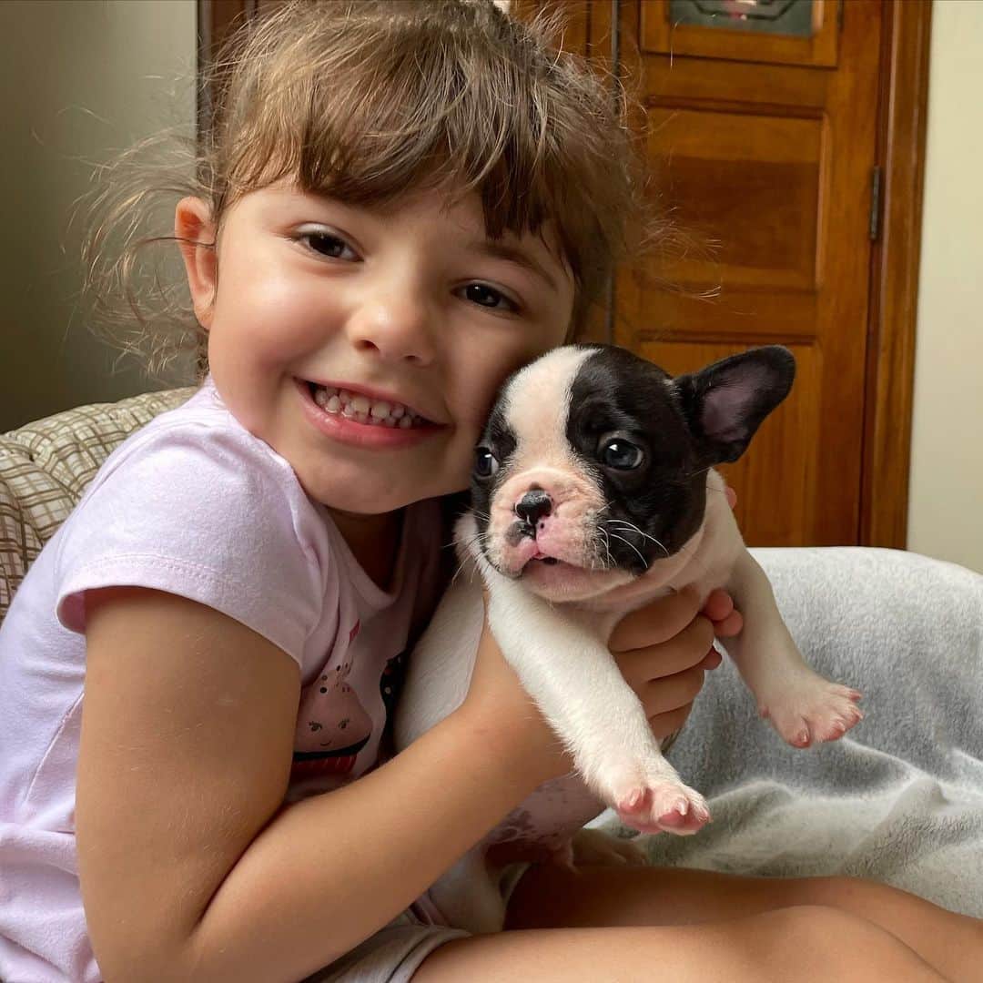 Regeneratti&Oliveira Kennelのインスタグラム：「Cuteness overload ❤️ #OreotheFrenchie #kidswithdogs #frenchbulldog #purelove #truelove #socute」