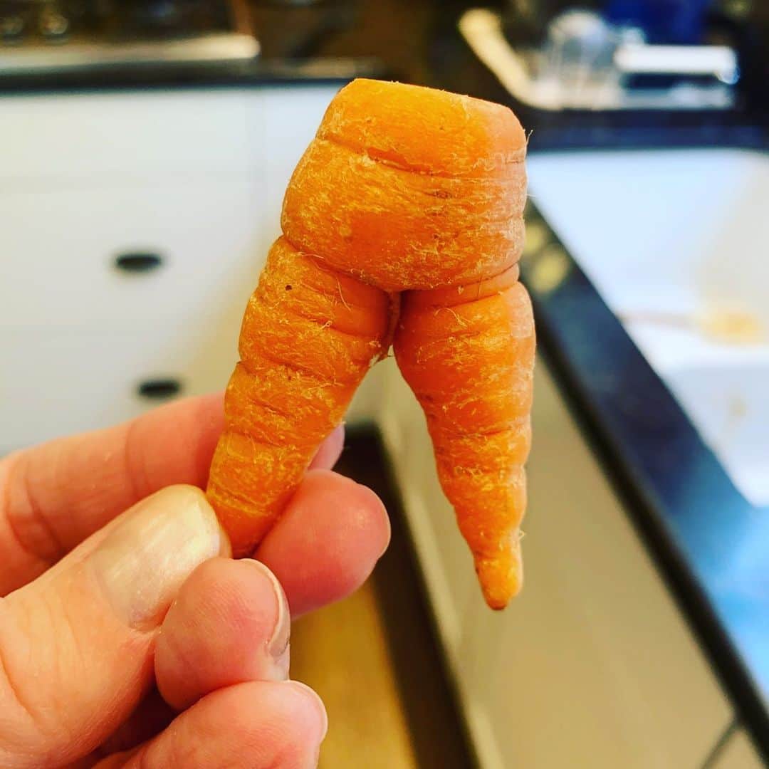 エリザベス・バンクスさんのインスタグラム写真 - (エリザベス・バンクスInstagram)「@amyschumer my friend found carrot’s less well-endowed cousin ? Just an update that the carrots are getting nuts」12月24日 3時37分 - elizabethbanks