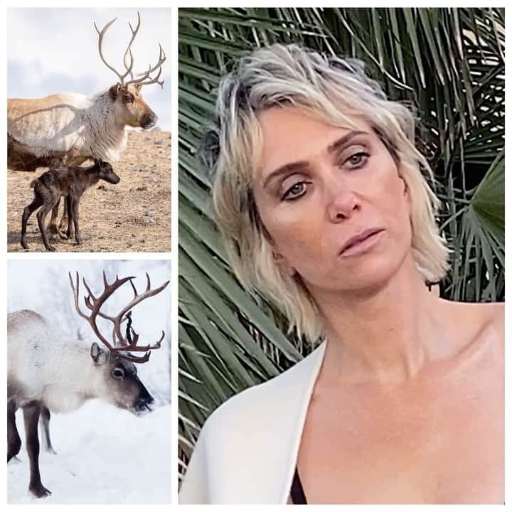 JO BAKERのインスタグラム：「K R I S T E N • W I I G 🇺🇸 Taupe, on taupe, on taupe.... my absolute go to fav palette ...for modern simple cool tone makeup on #kristenwigg for @bazaaruk  2020 we are done with your #reindeergames but just trying to get our mind right for the weirdest Christmas on record.  Merry merry hopeful better~ ness for one and all!!!  Style @seanknight  Hair @mararoszak #mulletdreams  Makeup by me #jobakermakeupartist  Lipstick - Rouge Allure #boy by @welovecoco @chanel.beauty 💋」