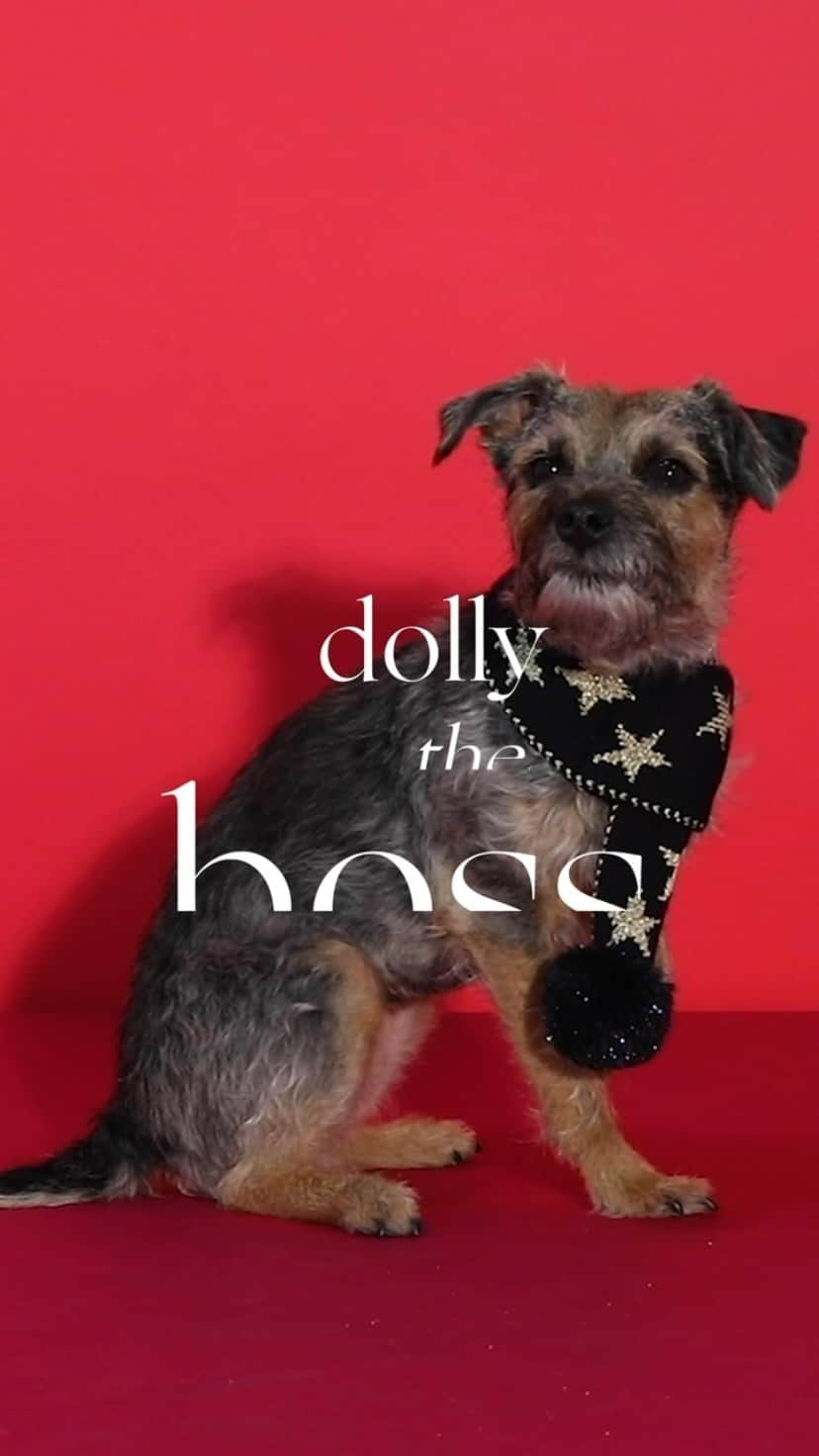 アクセサライズのインスタグラム：「Meet The Boss AKA Dolly 💯  Head to our reels to meet the whole squad #Accessorize #WonderFilled」