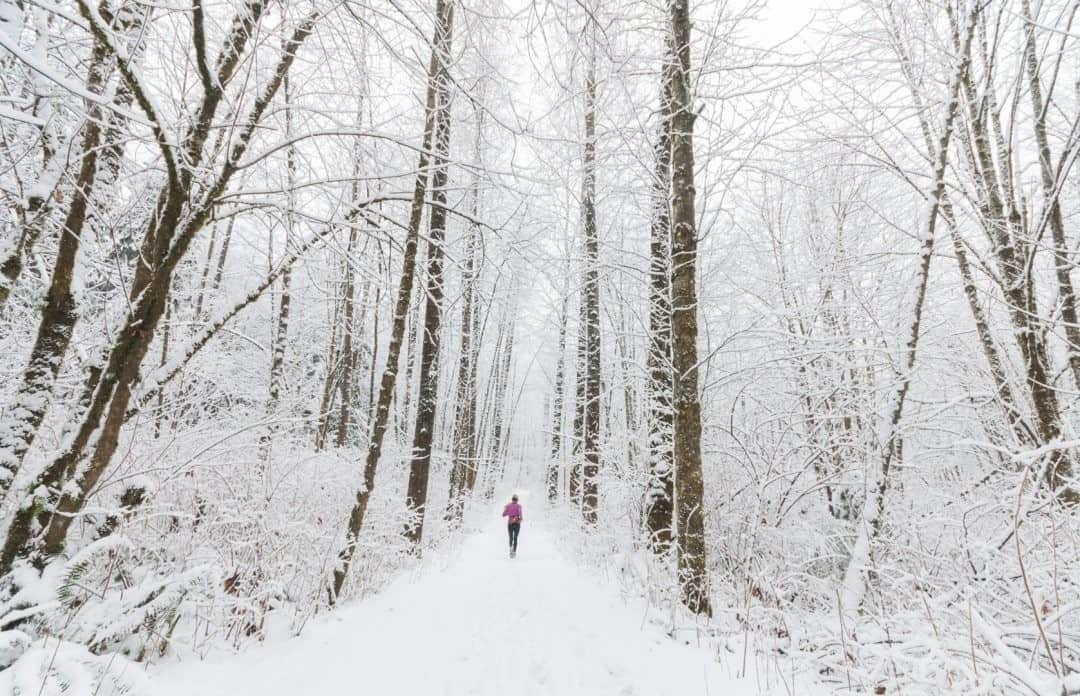 National Geographic Travelさんのインスタグラム写真 - (National Geographic TravelInstagram)「Photo by @steven_gnam / A woman runs along a snowy path in the Puget Sound. #Seattle #winter #run」12月24日 4時36分 - natgeotravel