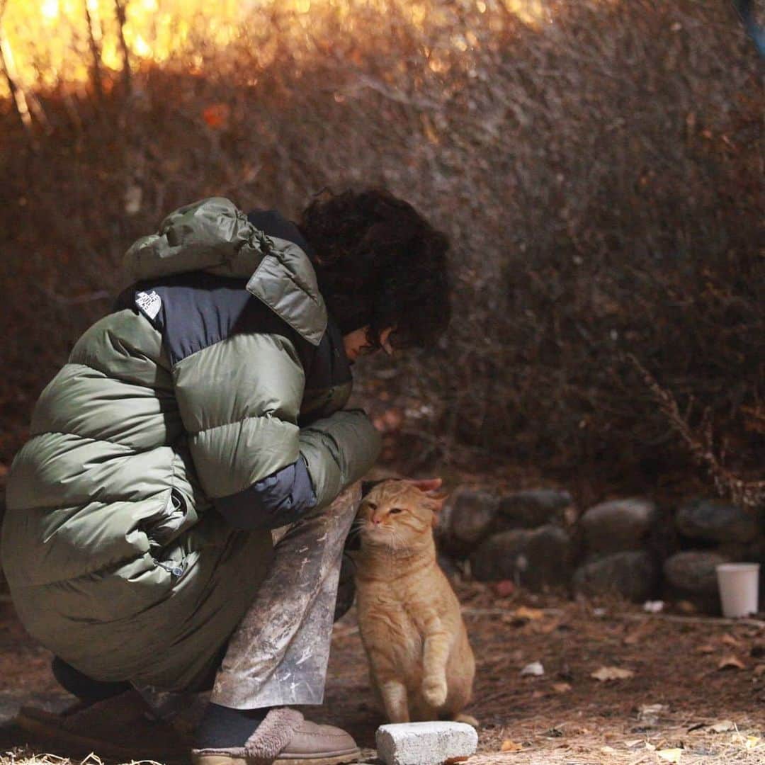 イ・ジュヨンさんのインスタグラム写真 - (イ・ジュヨンInstagram)「감사합니다! 화이팅⭐ 고양이에게 이상한 짓하는거 아님☺️」12月24日 4時36分 - izoo_young