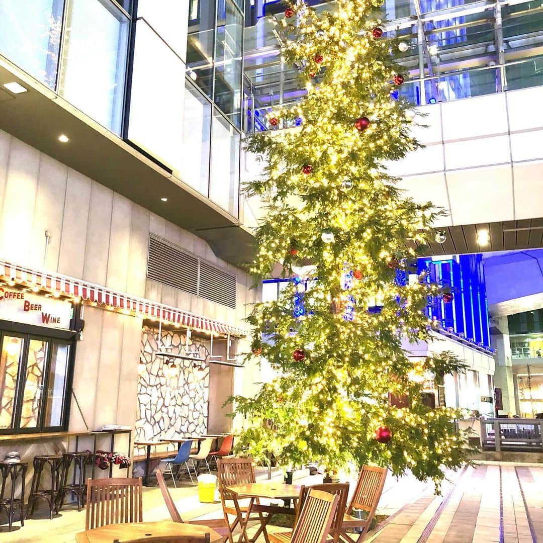 のインスタグラム：「Christmas tree at Shibuya🎄 渋谷のクリスマスツリー、綺麗だったな…」