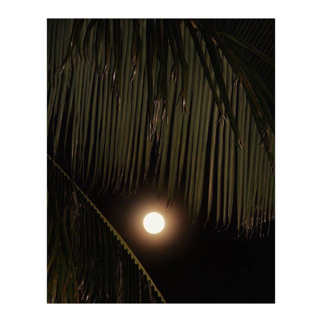 ティーバッグスのインスタグラム：「Silent night ✨ #MISAworld」