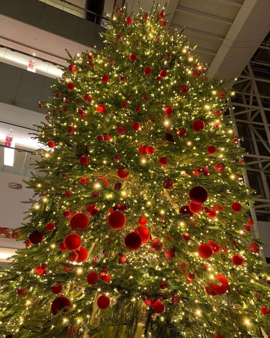 福山理子さんのインスタグラム写真 - (福山理子Instagram)「クリスマスツリー  #christmastree  #Christmas2020 #六本木ヒルズクラブ」12月24日 15時07分 - rikofukuyama