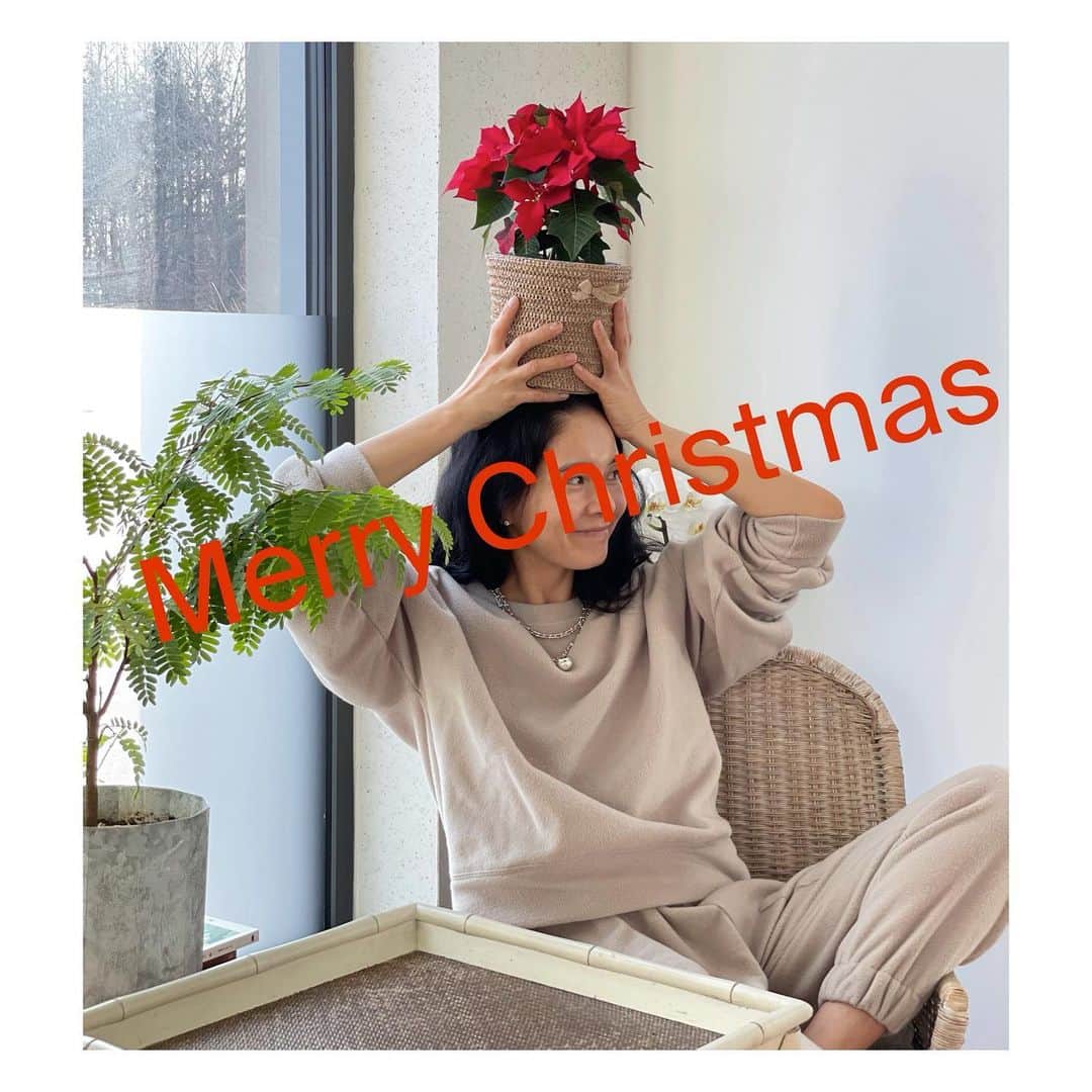 チョン・ヘヨンのインスタグラム：「🌲 Merry Christmas~! 그래도 그래도 .... 다들 행복하게 보내세요❤️」