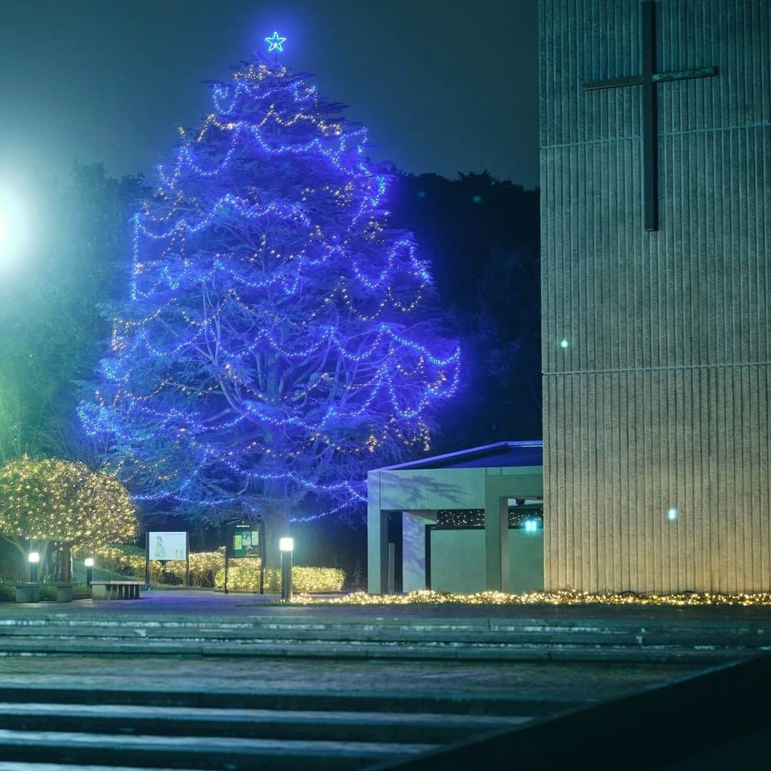 Meiji Gakuin/明治学院大学/明学のインスタグラム