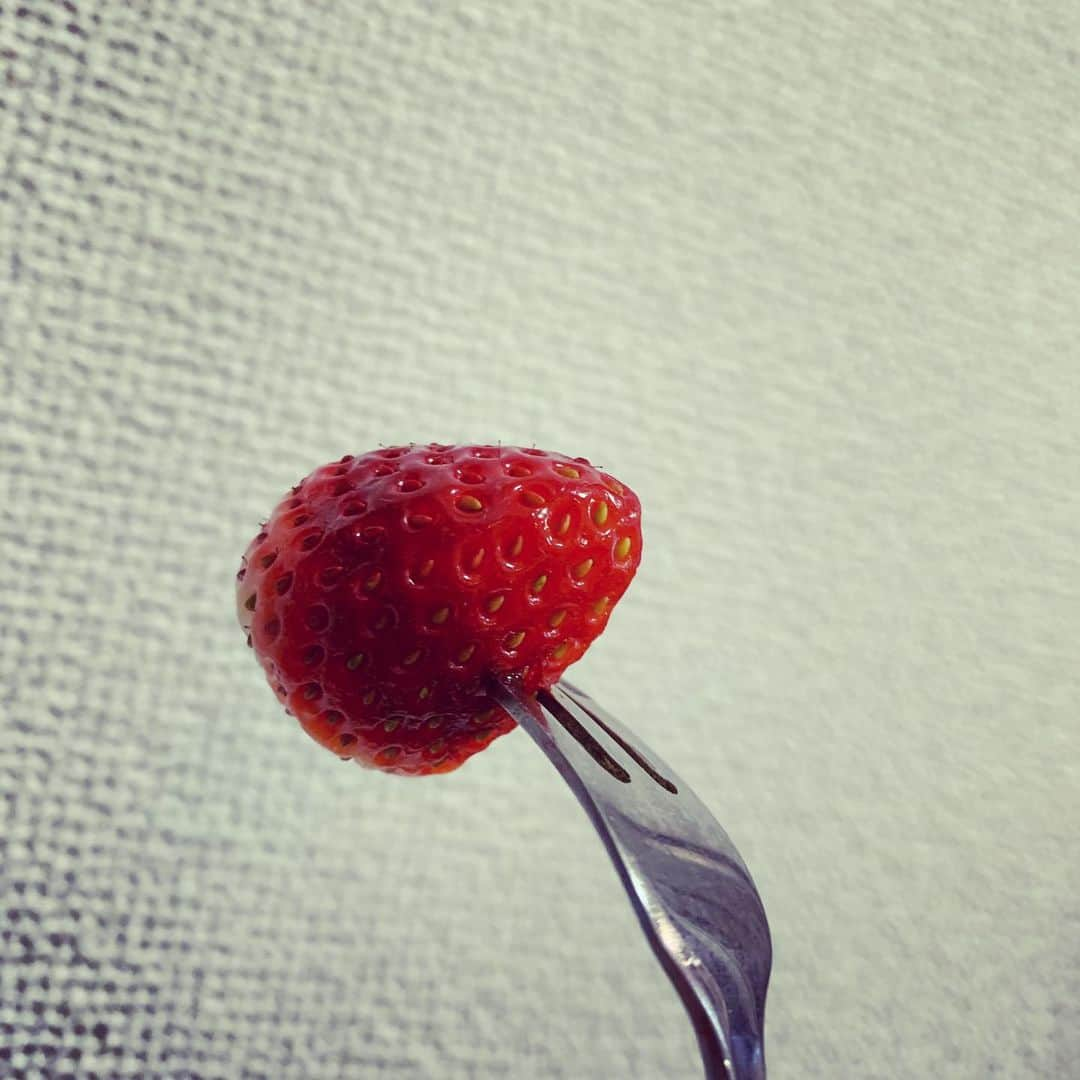 井上和香さんのインスタグラム写真 - (井上和香Instagram)「. いちごが美味しい🍓  今日はクリスマスイブですね🎄 みなさんの今日が幸せでありますように✨  私は娘のリスエストでカレーを作ります。笑 . #クリスマスイブ #いちご大好き #カレーの材料買いに行くかな #早く寝てサンタさんに来てもらわないと」12月24日 15時58分 - inoue_waka