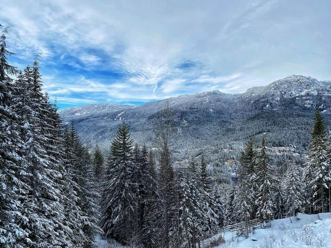 ジェームズ・ガンのインスタグラム：「I dreamt of a white Christmas and look what happened. 🙌」