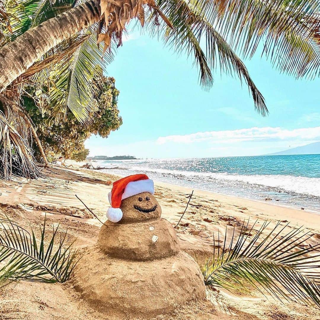 Lanikai Bath and Bodyさんのインスタグラム写真 - (Lanikai Bath and BodyInstagram)「It’s beginning to look at lot like Christmas.  📸 @_mleighxo  #gift #christmas #melekalikimaka #holiday #stockingstuffers #ecofriendly #hawaii #palm #beach #palm #lauhala #recycle #wrapping  #giftset #supportlocal #lanikai #ocean #shea #kukuinut #sandman #hawaii #kailua #oahu #lanikaibathandbody」12月24日 7時14分 - lanikaibathandbody