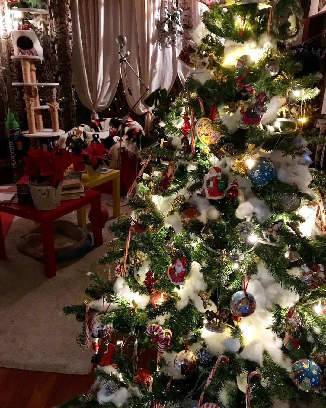 のインスタグラム：「Happy holidays everyone.❤️」