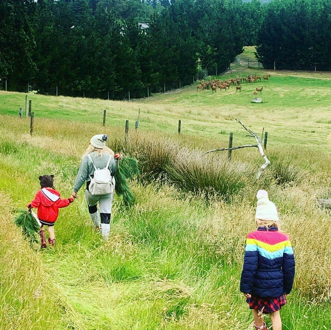 のインスタグラム：「Christmas Eve family walk on the hill. First Xmas in NZ for this family. Bit cooler than expected!! #deerfarm #family」