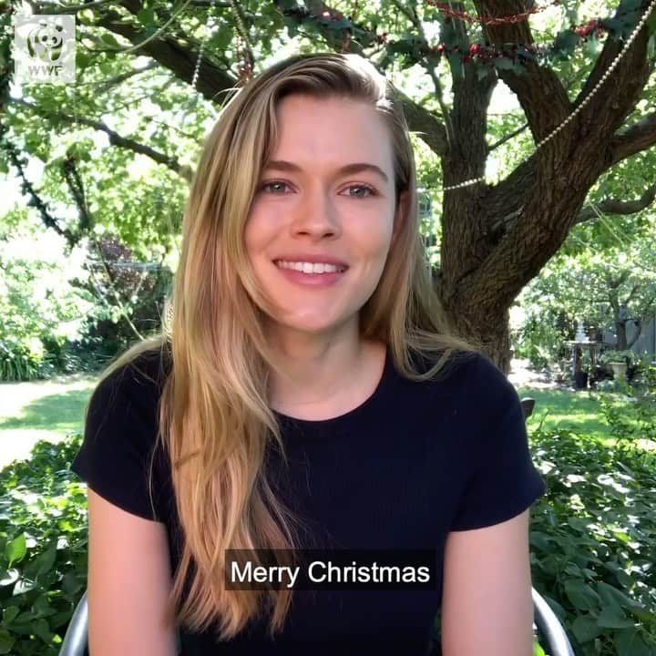 のインスタグラム：「🧡 Thank you and Merry Christmas from myself and @wwf_australia! 🎄🐨🌿🌏」