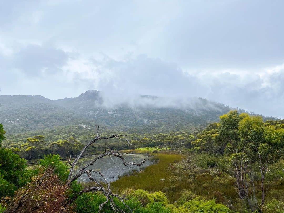 アン・カーティスのインスタグラム：「Hello Tassie 🇦🇺」