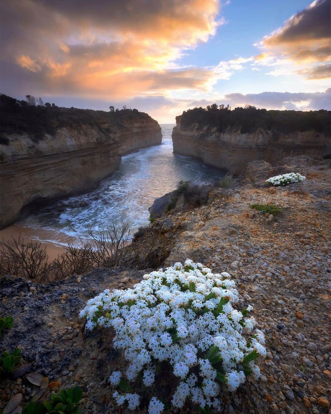 Nikon Australiaのインスタグラム