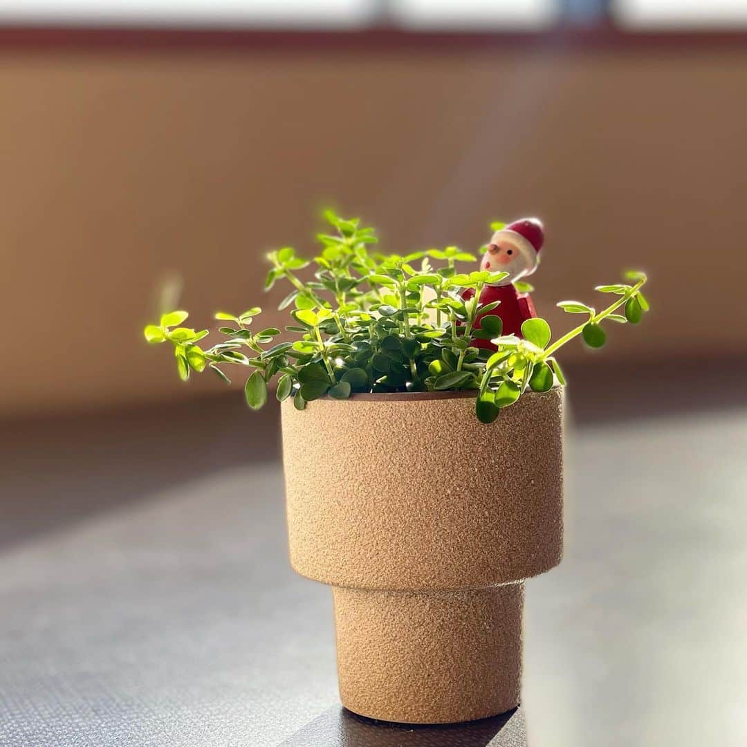 祥吉のグルメインスタ