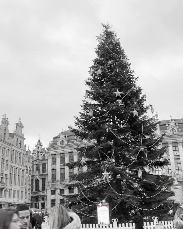 辻美里のインスタグラム：「Merry Christmas🎄✨  動画は昨年のクリスマスに行ったブリュッセルの世界一美しいと言われる広場。 思えばbeforeコロナの最後のクリスマスだったなぁ🤶🏻  今年の今頃は南アフリカに旅行に行くはずが大きく予定変更🌵 人生なにがあるか分からないね。  いつも未来に楽しみを見つけるタイプだったんだけど、なんだか今は過去に目を向けたい時期。  こないだ昔からのお友達に久々に会って、私も忘れてた昔の自分の話を聞いて、とっても懐かしい気持ちに。 中学生ぐらいの思い出から振り返って懐かしんでます🦢  あまり過去に縛られたくない願望がもともとなぜか強くて、身軽にいたいから写真とかもすぐ捨てちゃうタイプなの。← でもいまは悩みがあると書きためてた日記とか、その中でも持ってる写真とかを見返して、いろんな人と関わって今の自分があるんだなぁって振り返るのが楽しい。  こうゆう振り返り作業したい時期って、考えたら10年に1回くらいの周期でくるような気がします。 たぶんこうすることで人生を小説のように何章にも区切ってくのかもね♥  激動の一年だったね。よくがんばりました。  みなさん、読んでくれていつも有難う♥ 素敵なクリスマスを🎄✨🎂」