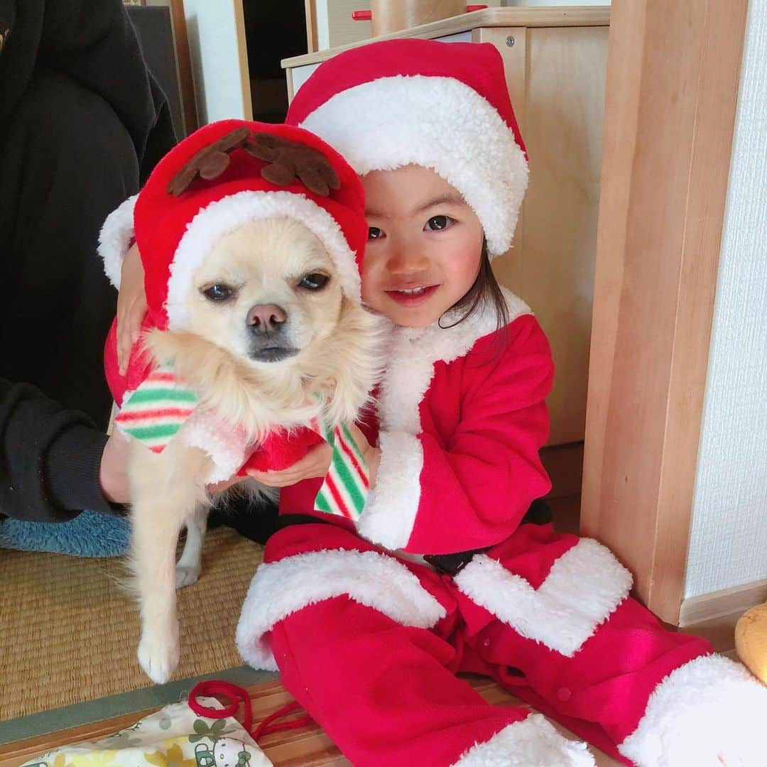 川畑ありさのインスタグラム：「メリクリ🎄🎁🎅 にこまろ&諭吉もサンタコス♡ 届いて着せてみた日から気に入ってしまって 着替える時は"ちゃんたちゃん！ちゃんたちゃん！"言うてこの服持ってくるから 近所で買い物も散歩もサンタコスやった🤣🤣ww クリスマスより前からずっとw😂😂  w/ @yukichi0615 🐶 . Happy X'mas❤️❤️💚💚 . #thedays_of_nico  #christmas  #クリスマス #女の子ベビー #女の子ママ」