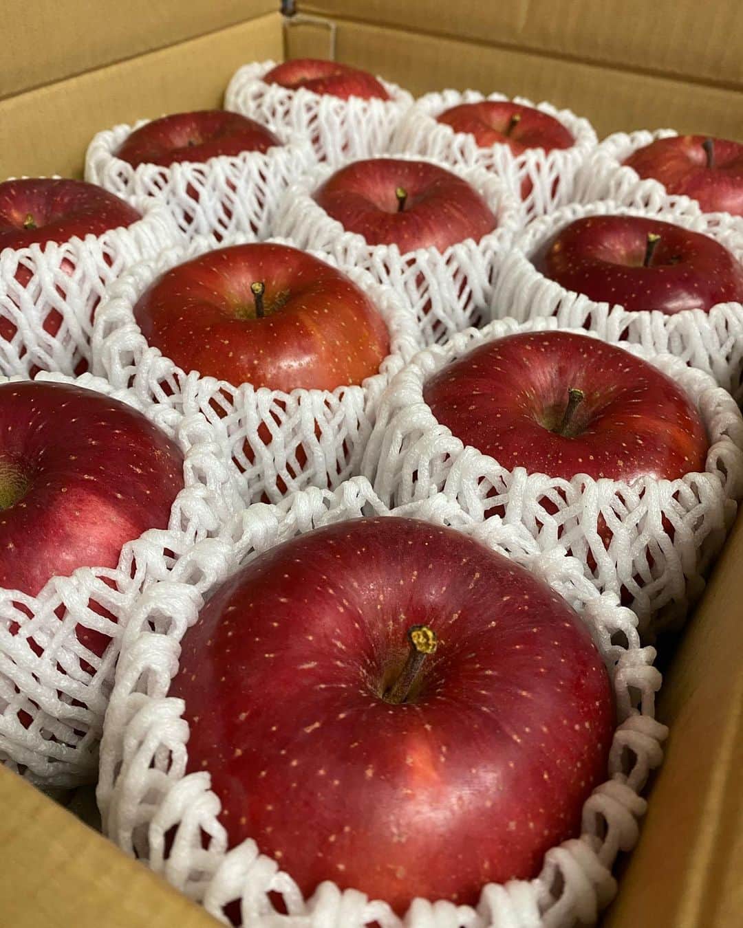 ニッチロー'さんのインスタグラム写真 - (ニッチロー'Instagram)「南信州高森町からりんご頂きました  完熟サンふじ  しっかり蜜入ってます  蜜です、蜜です  やっぱり信州りんごは美味しいです  #信州りんご #りんご #林檎 #完熟サンふじ  #北城農園 #高森町 #南信州 #ニッチロー」12月24日 9時37分 - nicchiro5.1