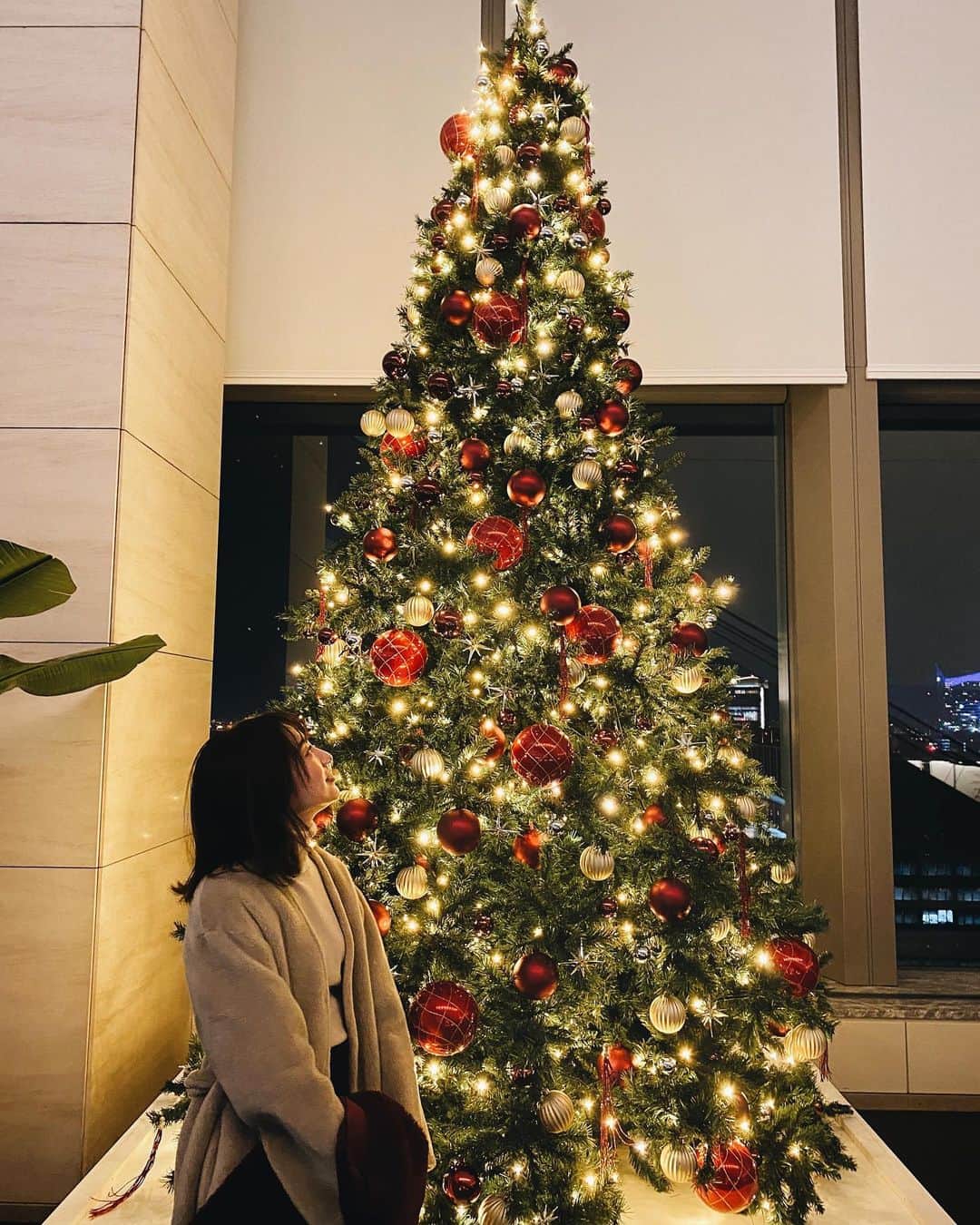 のインスタグラム：「﻿ ﻿ Merry Christmas🎄❤️﻿ ﻿ ﻿ 皆さん今年はどんなクリスマスを過ごしますか？﻿ ﻿ 私は今年はお家で過ごすことになりそうです😂✨﻿ ﻿ ﻿ #メリクリ #merrychristmas #クリスマス #クリスマスツリー」